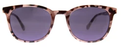 Arrived*AJ Morgan Eyewear Best