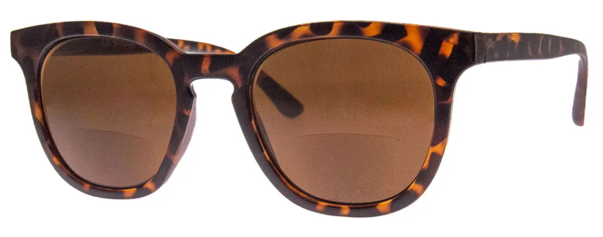 Cabana (Bifocal Sunglass Readers)*AJ Morgan Eyewear Online
