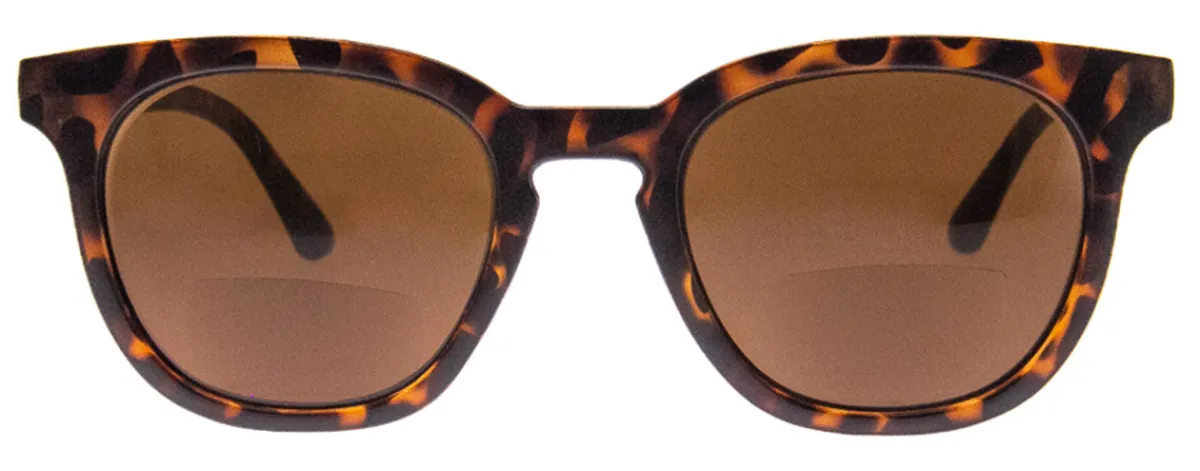 Cabana (Bifocal Sunglass Readers)*AJ Morgan Eyewear Online