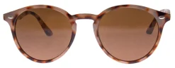 Pointdexter*AJ Morgan Eyewear