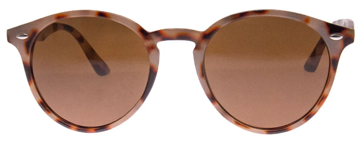 Pointdexter*AJ Morgan Eyewear